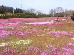 -棒棰岛宾馆景区