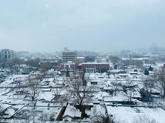 -同庆楼(金宝汇店)