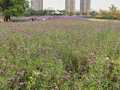 -杭州城北体育公园