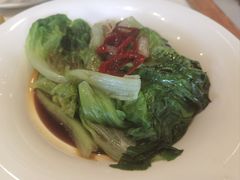-金鼎轩(方庄天坛店)