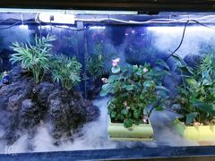 -街角等你.大连海鲜烧烤.经典铁板海鲜串(西安路店)