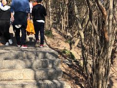 -紫金山天文台
