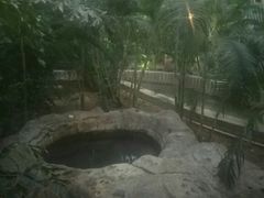 -龙达温泉生态城