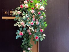 -火宫殿·湘菜小吃·商务宴请·生日聚会(市府店)