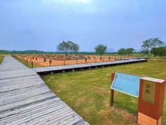 -盘龙城国家考古遗址公园