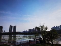 -月湖风景区