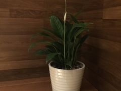-洞庭土菜小炒馆(易发广场店)