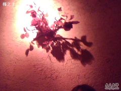 IMG2737A-丁香西饼屋(桂林路店)