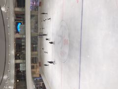 -陈露国际冰上中心(天津嘉里汇店)