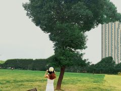 -山明水秀大饭店