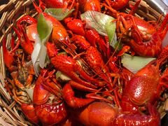 -蚝翅·海鲜粥·烧烤·宁夏滩羊季(玉米楼店)