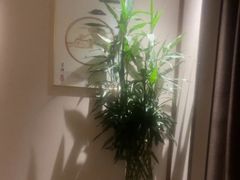 -淳SPA·精油按摩(蓝海御华大饭店)