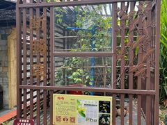 -广州神农草堂中医药博物馆