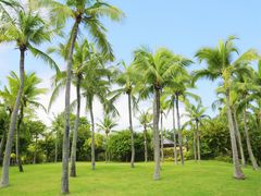 -亚龙湾喜来登·美景台大堂吧