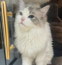 -花系美·美甲美睫精品店