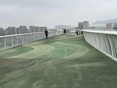 -飞凤山奥体公园