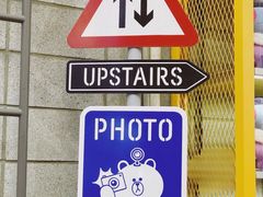 -line friends(明洞旗舰店)