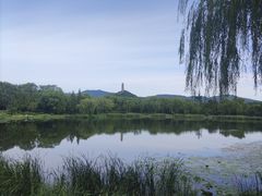 -北坞公园