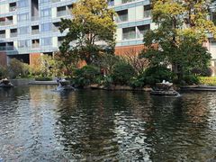 -前海华侨城JW万豪酒店·都会尚膳自助餐厅·牛排海鲜酒水畅飨