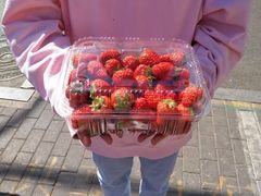 -山与蓝·轻糖鲜果蛋糕(勒泰店)