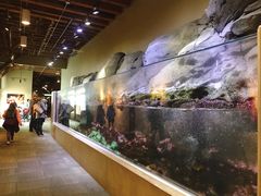 -西雅图水族馆