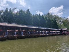 -溱湖国家湿地公园