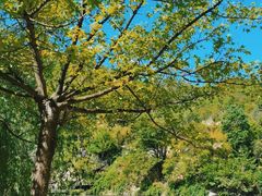 -九如山休闲旅游度假区