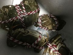 -丫丫蟹庄·苏式园林农家乐·阳澄湖大闸蟹(阳澄湖莲花岛店)