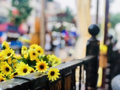 -巴伐利亚啤酒坊(意式风情街店)