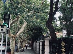 -Apollo·西班牙小酒馆(安福路店)