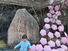 -金鸡湖桃花岛