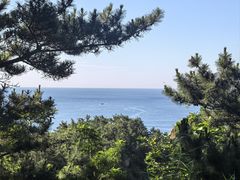 -棒棰岛宾馆景区