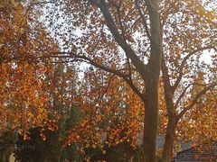 -T80科技文化国际社区-停车场