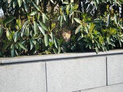 -句容茅山景区