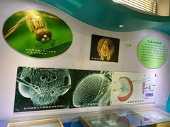 -上海昆虫博物馆