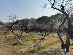 -白马涧龙池景区