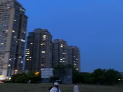 -南京Hallo宠物乐园·哈罗犬舍·柴犬繁育基地