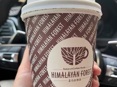 -喜马拉雅森HIMALAYAN FOREST