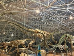 -世界恐龙谷景区