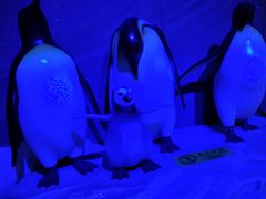 -成都浩海立方海洋公园