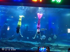 -石林冰雪海洋世界