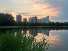 -莲花池公园