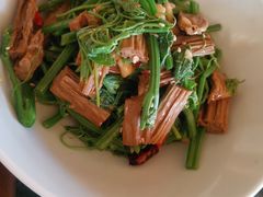 -食家鸽园