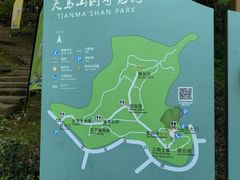 -上海佘山国家森林公园天马山园