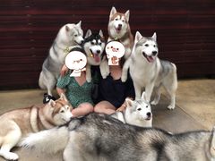 -TrueLove @ Neverland (Husky Cafe)