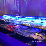 装修好炫酷自助餐