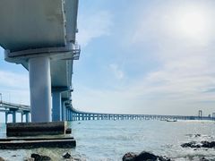 -星海湾跨海大桥