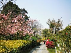 -成都南湖公园