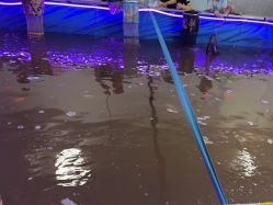 -巡鱼道·室内垂钓·渔具店