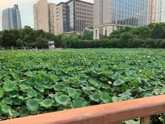 -黄兴公园